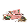 dentifrice dabur clos de girofle