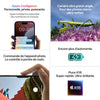 Apple iPhone 16 Plus (128 Go) - Rose
